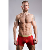 Hom Happiness Boxer Brief (xl/38)